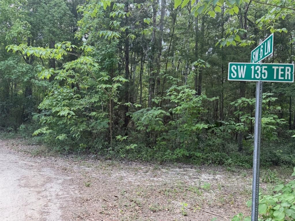TBD SW 135 Ter., Ocala, FL 34481
