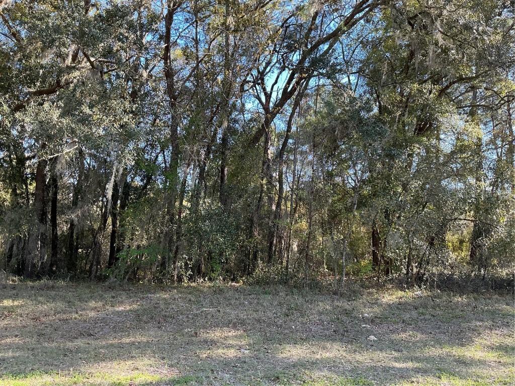 SW 141 Pl., Ocala, FL 34473