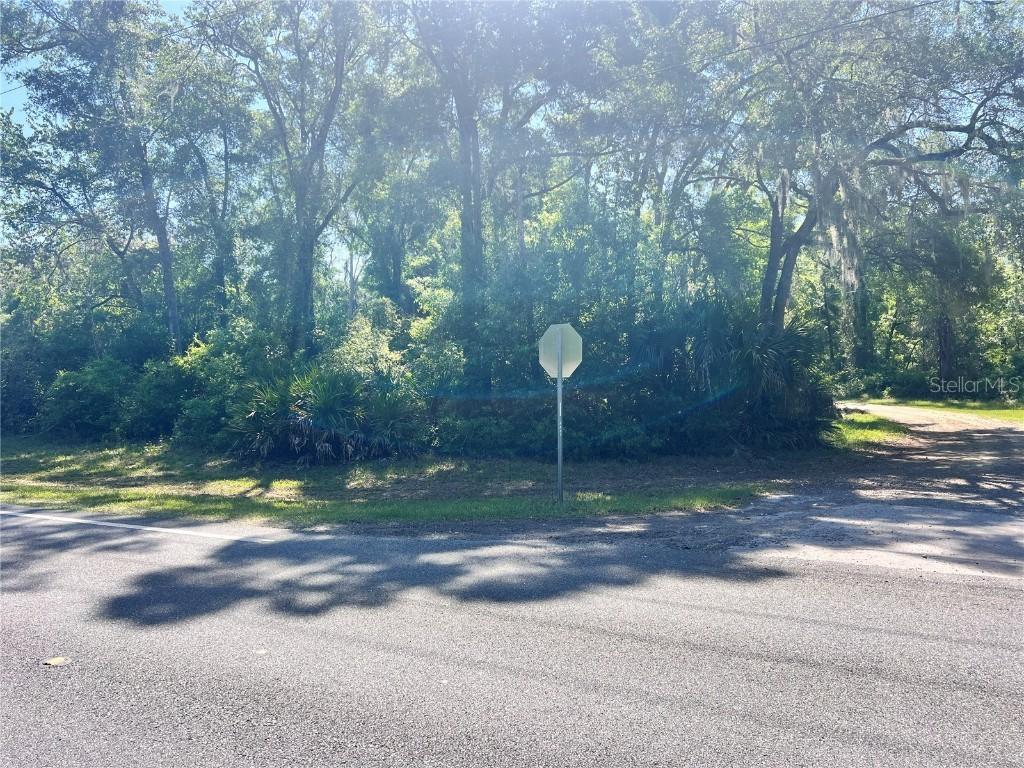 9781 W Pomelo Ln., Crystal River, FL 34428