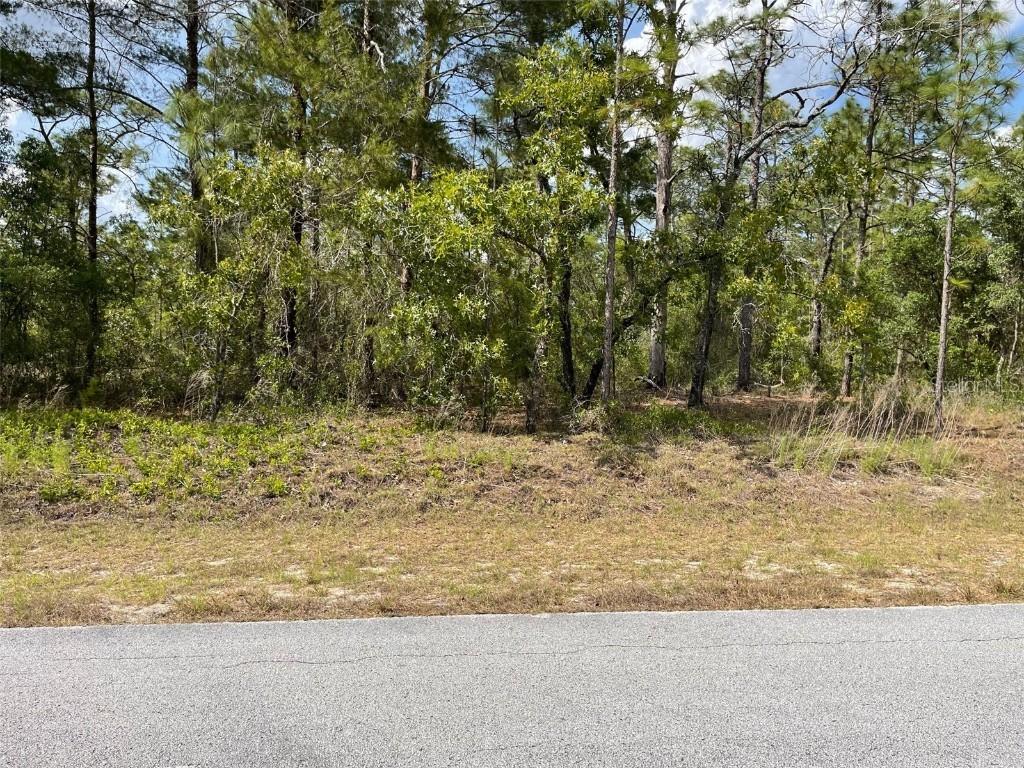 LOTS 29, 30 SW Anchor Blvd., Dunnellon, FL 34431