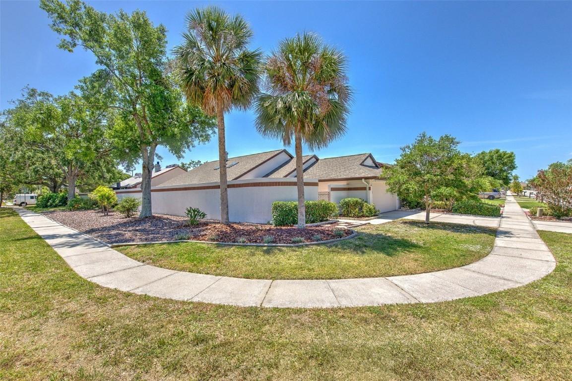 7102 Silvermill Dr., Tampa, FL 33635