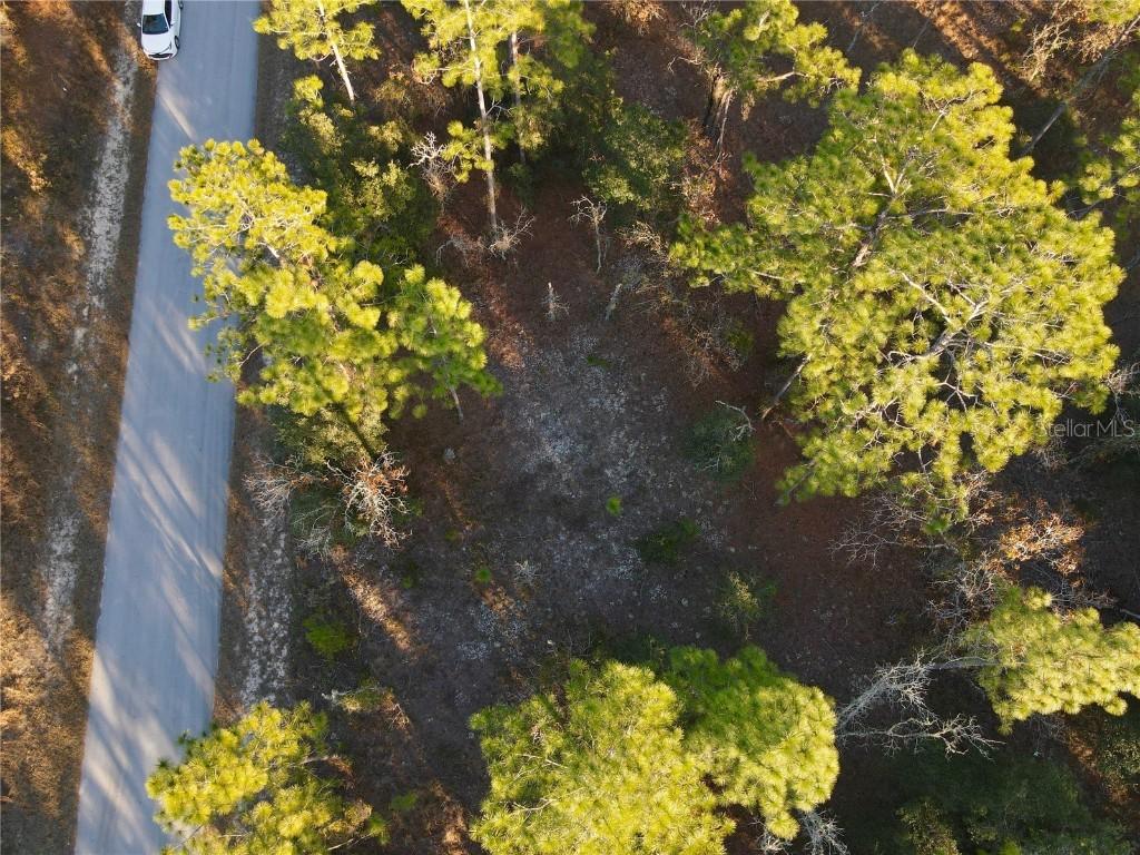 TBD SW Edgewater Blvd., Dunnellon, FL 34431
