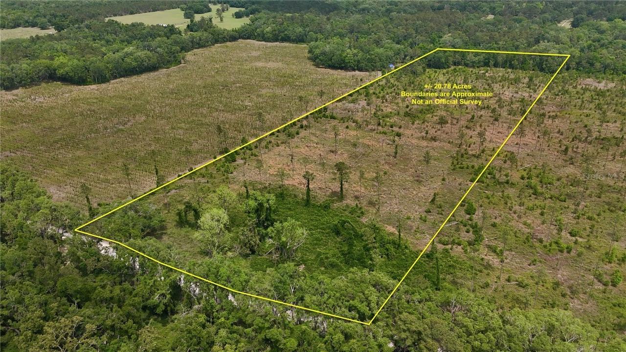99th Lane, Live Oak, FL 32060