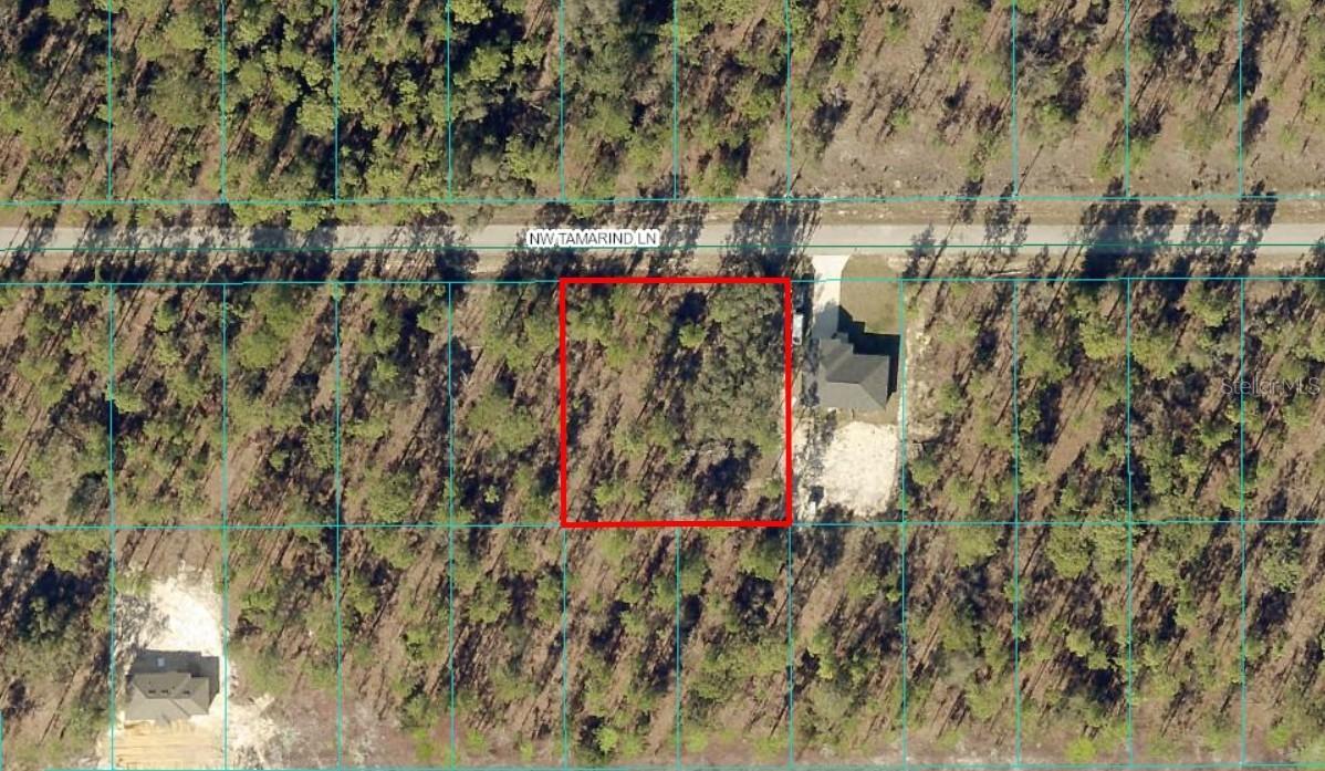TBD LOT 13 NW Tamarind Ln., Dunnellon, FL 34431