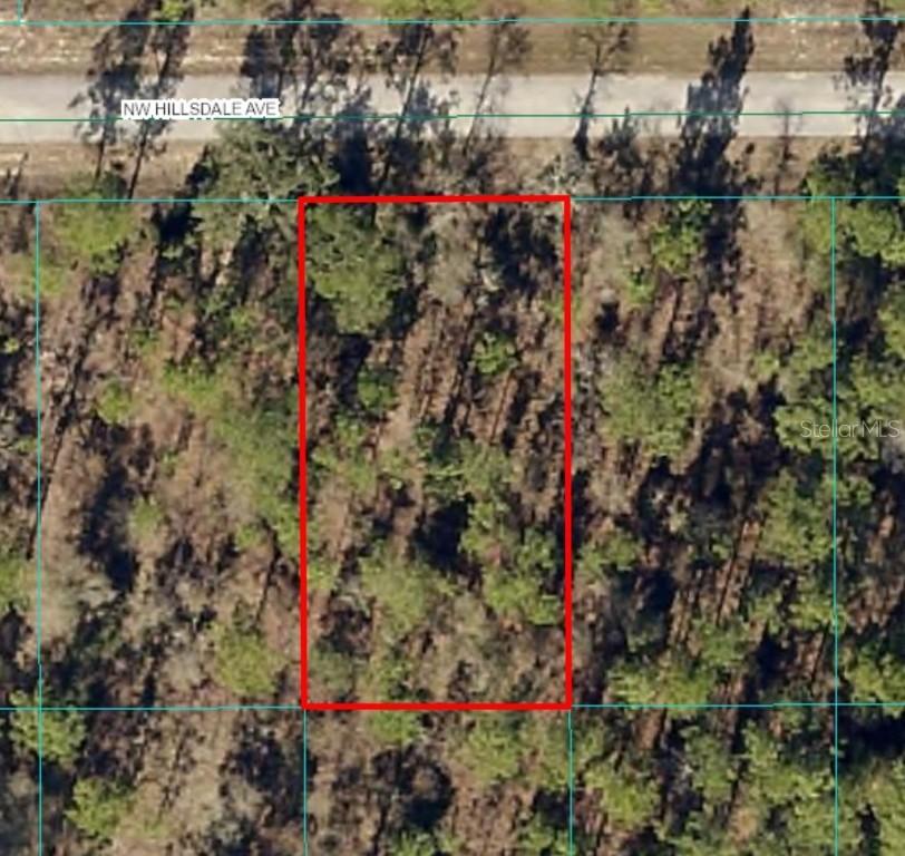 Lot 15 NW Hillsdale Ave. #Lot #15, Dunnellon, FL 34431