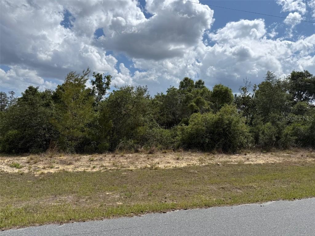 TBD SW 178 St., Ocala, FL 34473