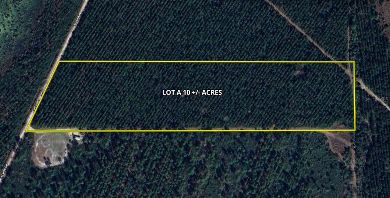 Off Louise Rd., Gainesville, FL 32609