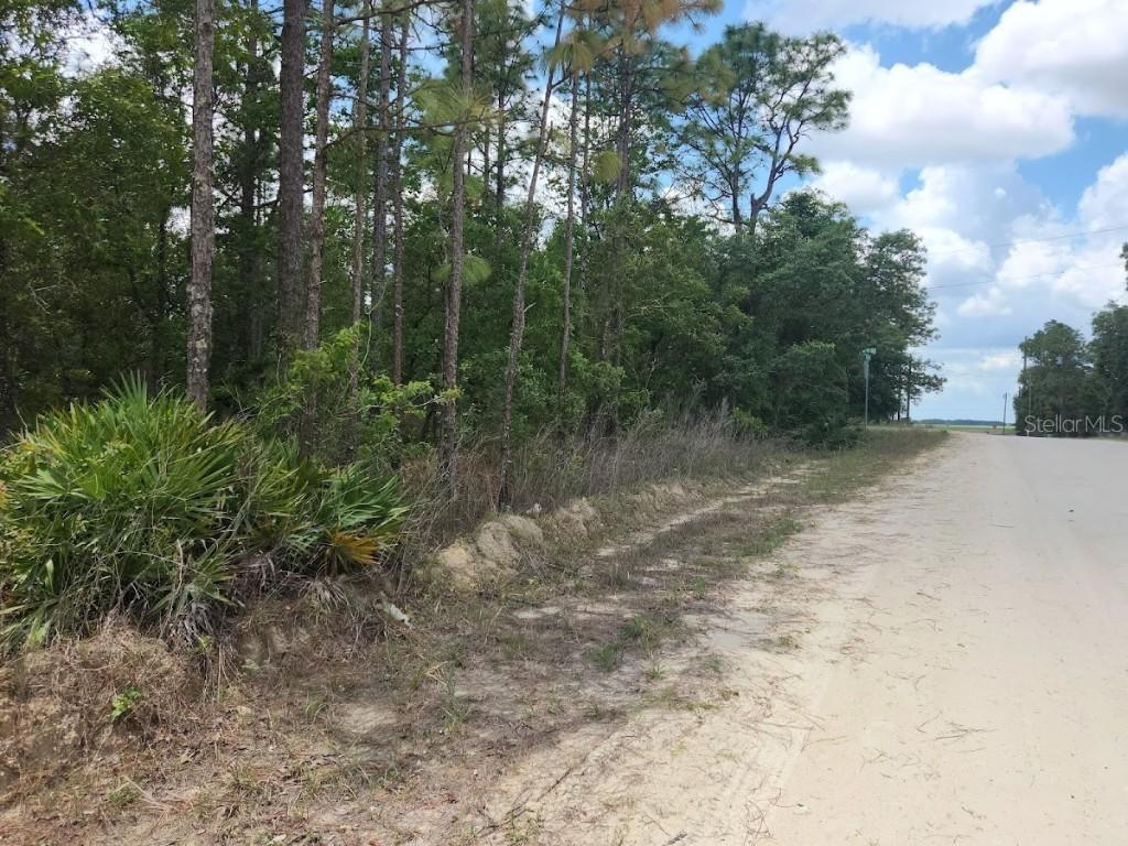 SW 138th Ter. #1, Dunnellon, FL 34432