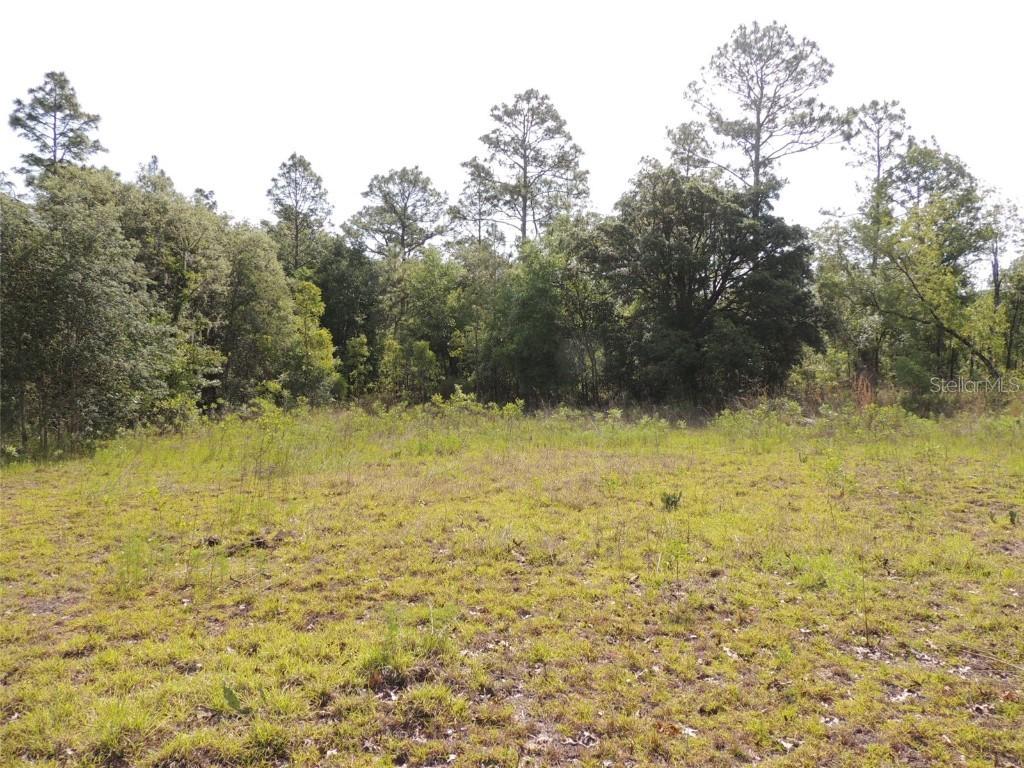 8391 NE 95th Ave., Bronson, FL 32621