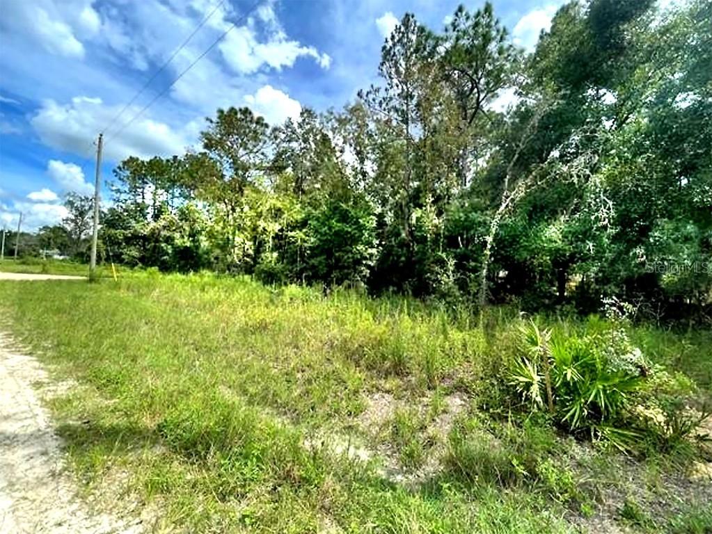 00 SW 16th Pl., Ocala, FL 34481