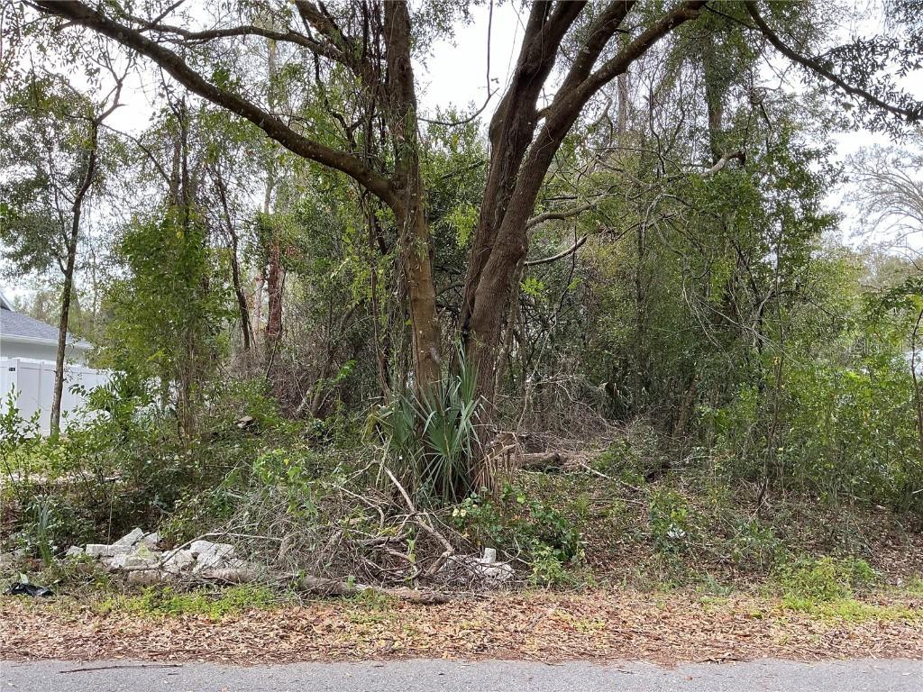 SE 137th Pl., Summerfield, FL 34491