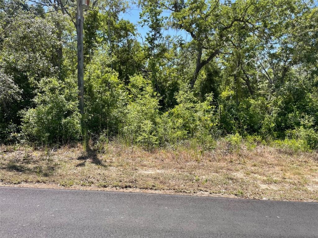 5437 W Cinnamon Ridge Dr., Lecanto, FL 34461