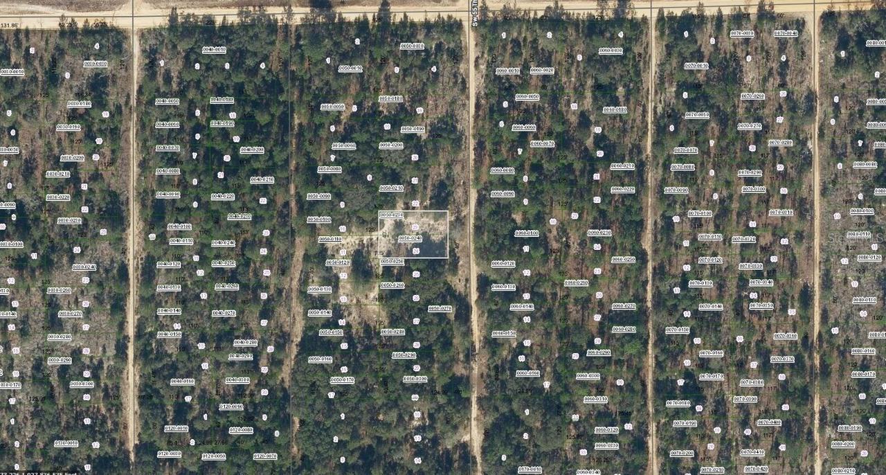 00 SW 55th Ave., Interlachen, FL 32148