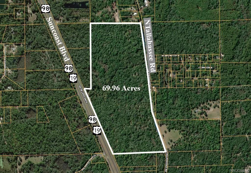 [Address Hidden by Seller], Crystal River, FL 34428