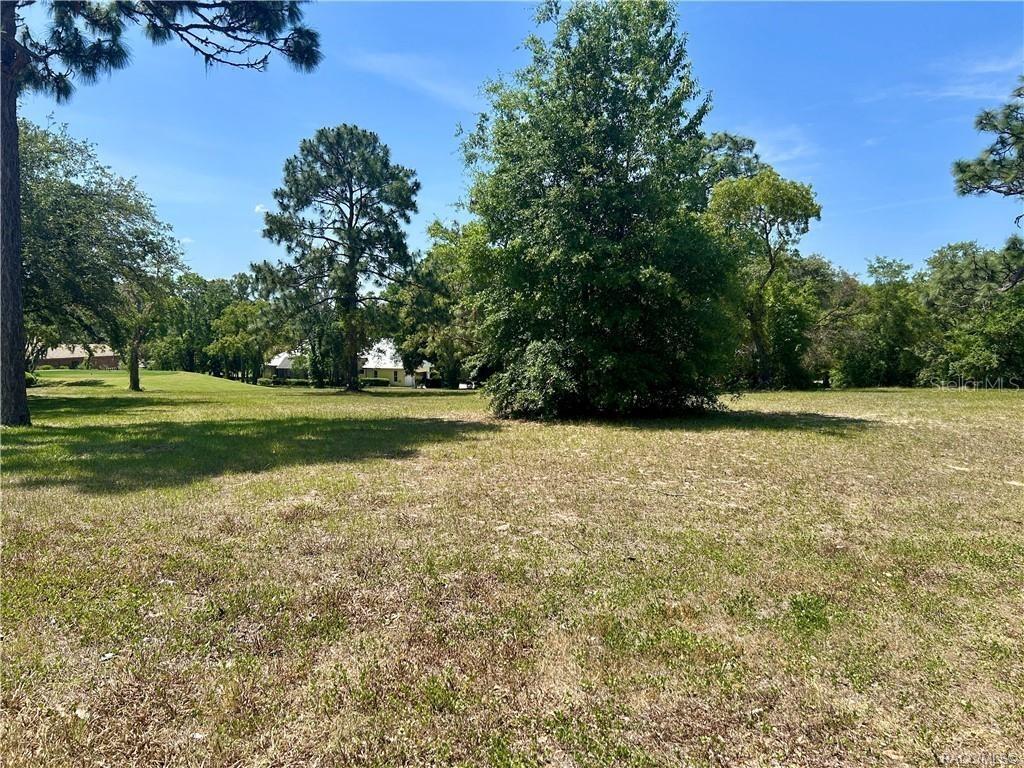 [Address Hidden by Seller], Lecanto, FL 34461