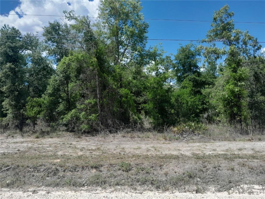 tbd NE 63rd Pl., Williston, FL 32696