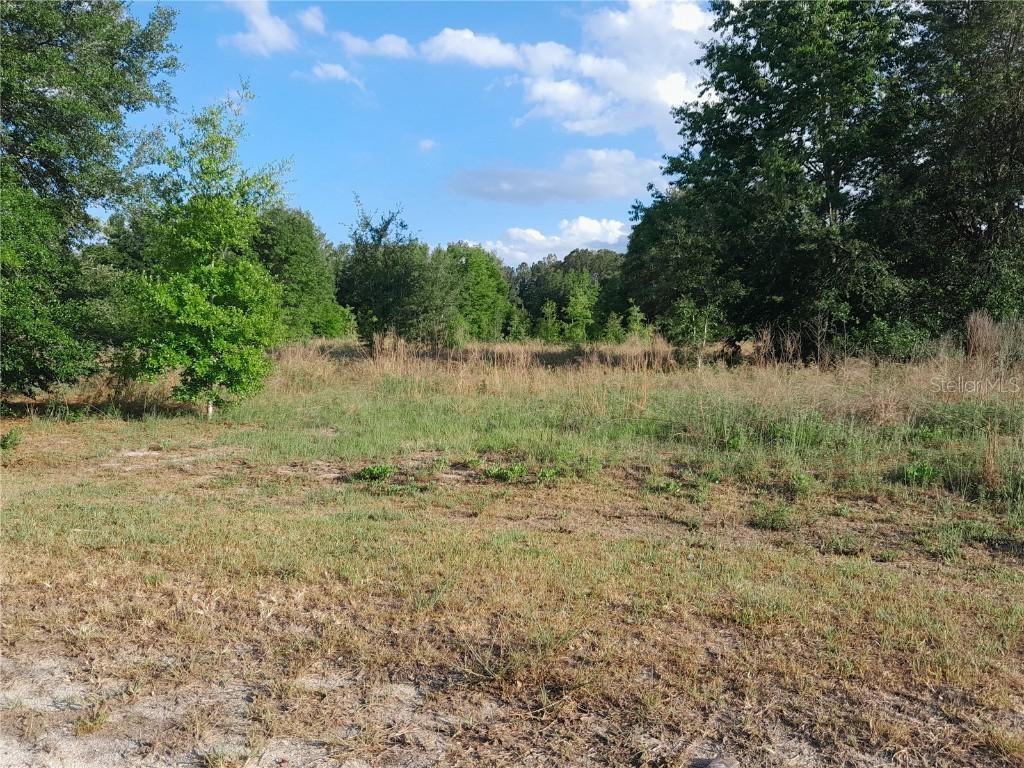 21930 SE 60th Ln., Morriston, FL 32668