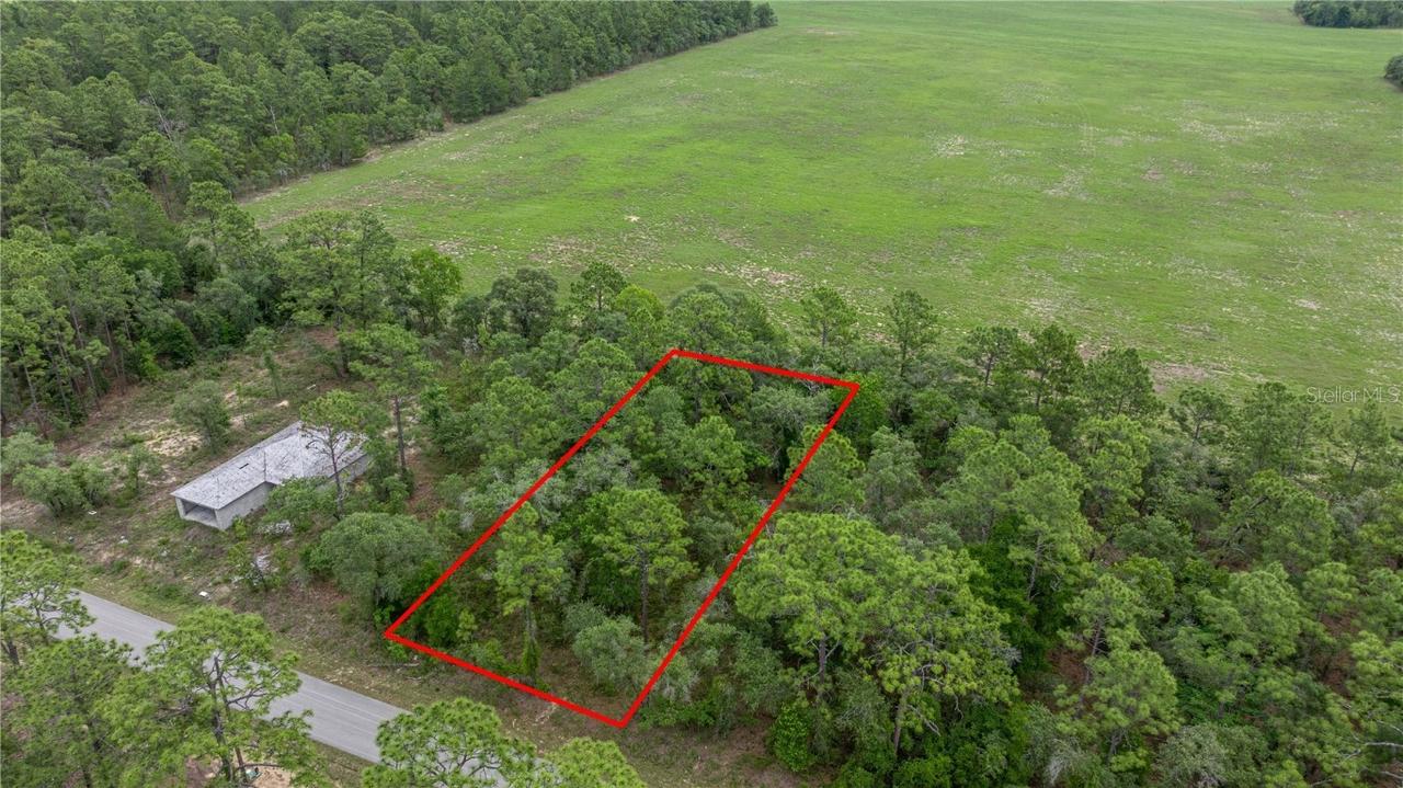 BLK 25 LOT 16 NW Buena Vista Rd., Dunnellon, FL 34431