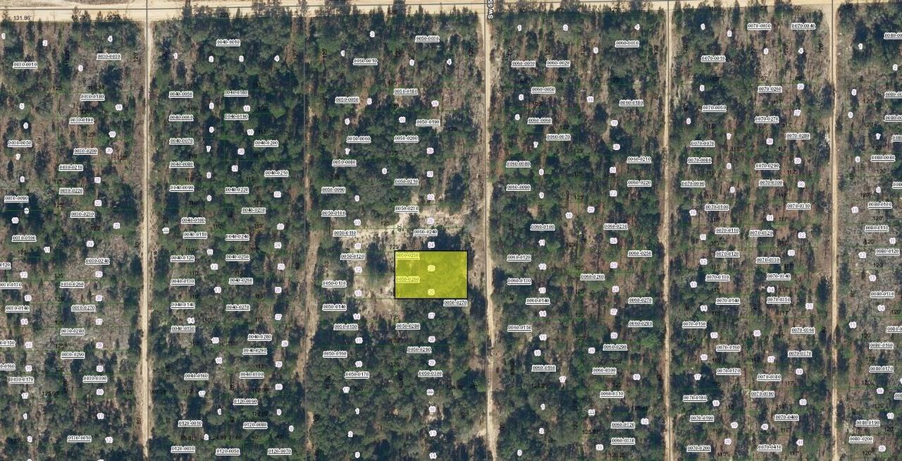 SW 55th Ave., Interlachen, FL 32148