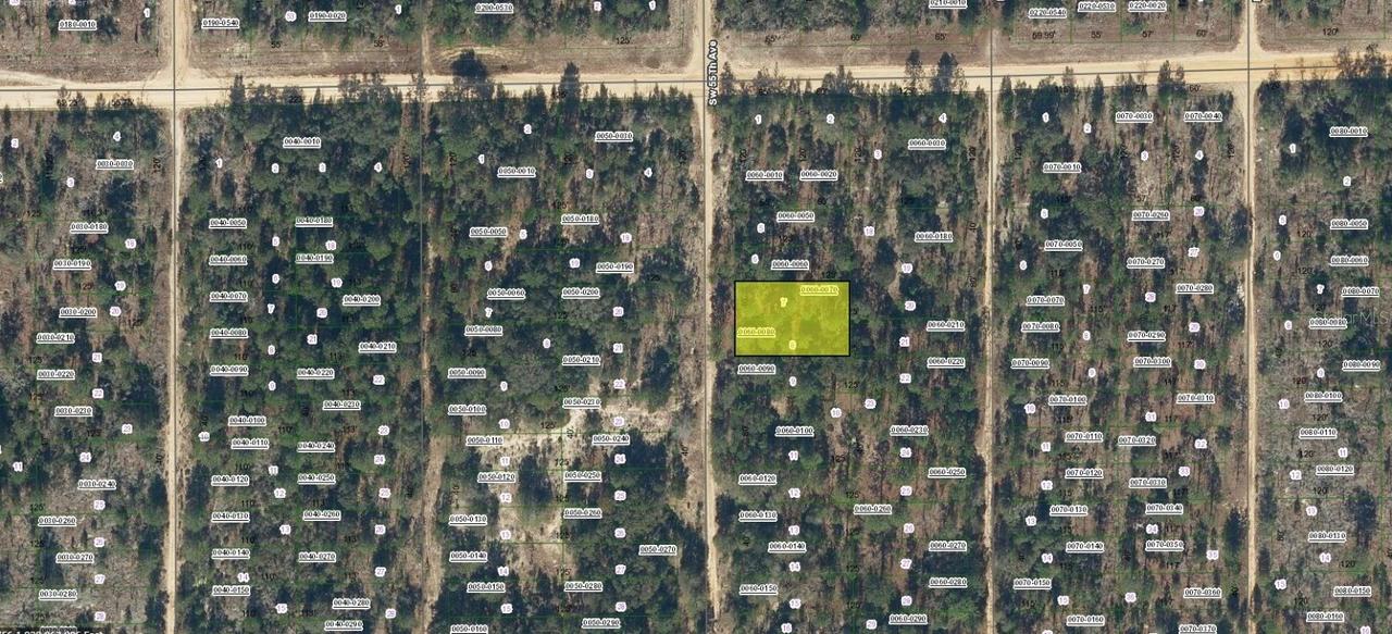 SW 55th Ave., Interlachen, FL 32148