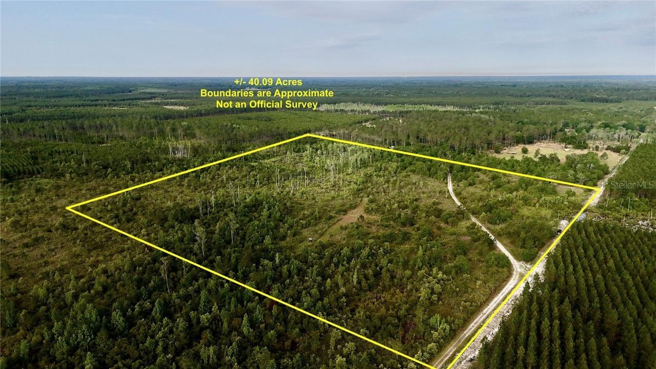 Off Hwy 225, Gainesville, FL 32609