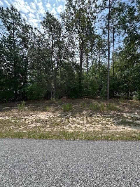 920 W Rum Pl., Dunnellon, FL 34434