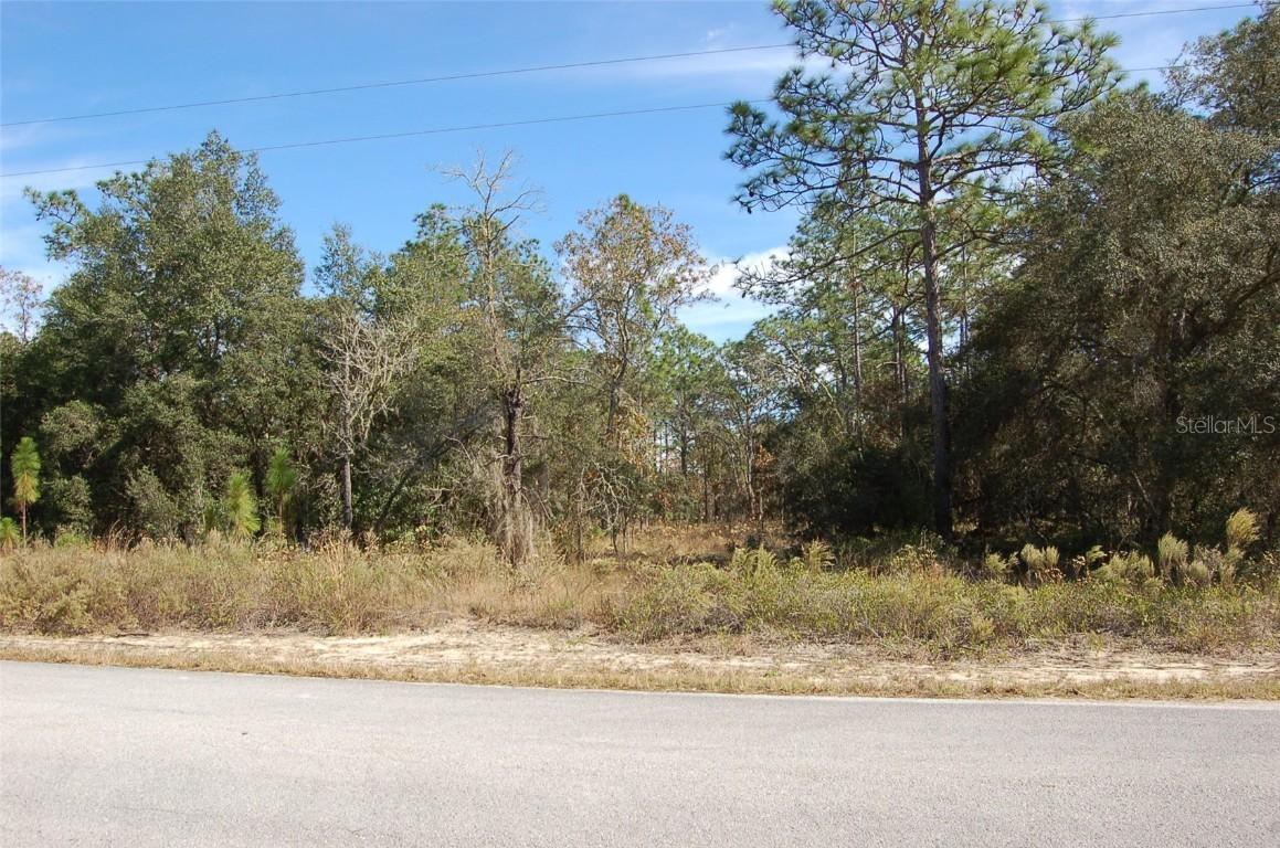 Lombardy Ln., Dunnellon, FL 34431