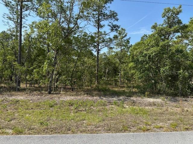 Lot 20 SW Anchor Blvd Blvd., Dunnellon, FL 34431