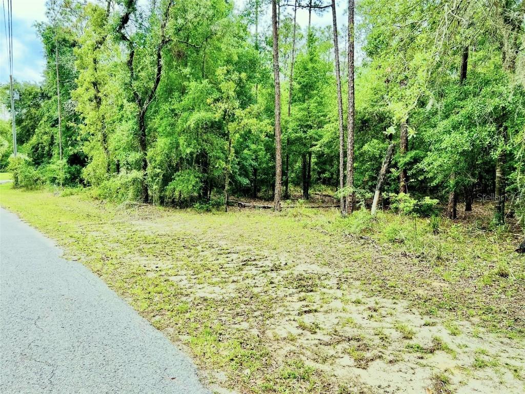 0000 SW 85 Loop Loop, Dunnellon, FL 34431