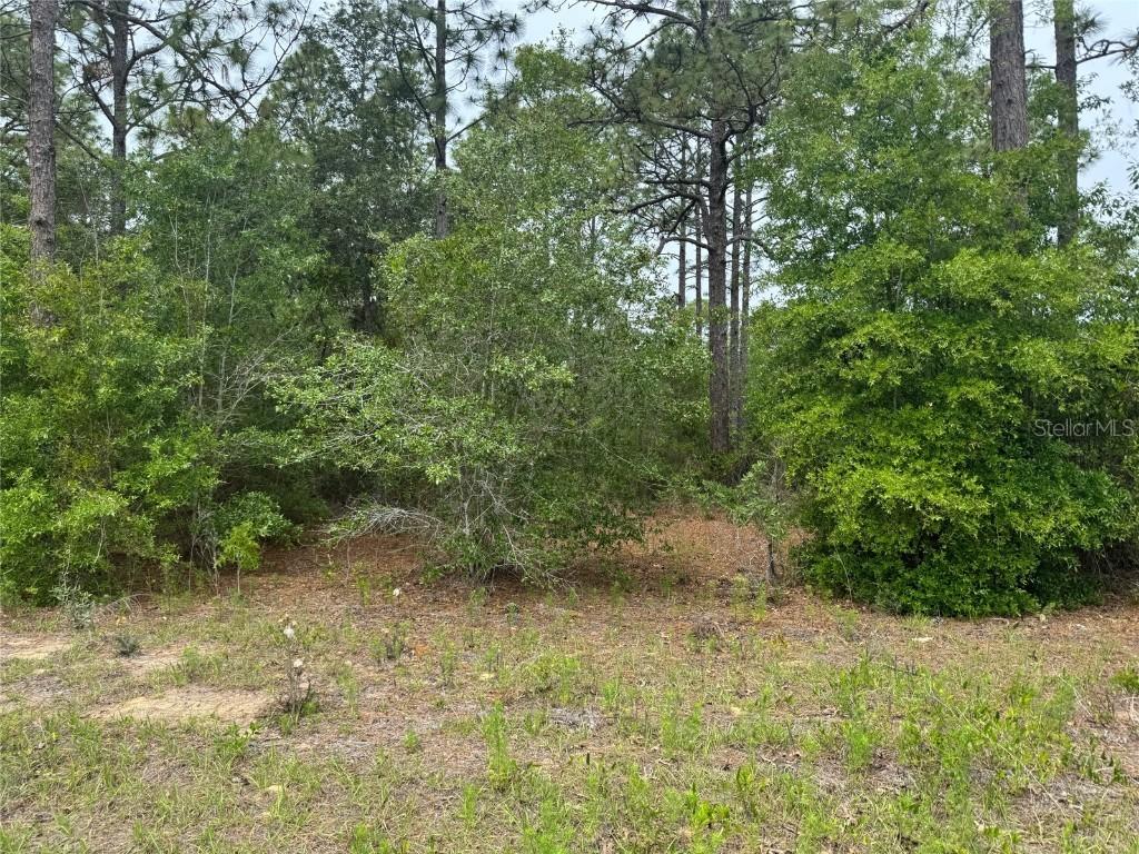 Lot 12 SW Floral Court Lot 12 Ct., Dunnellon, FL 34431