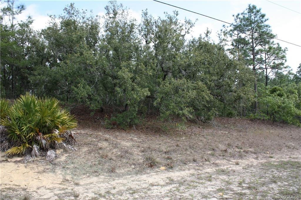 [Address Hidden by Seller], Beverly Hills, FL 34465