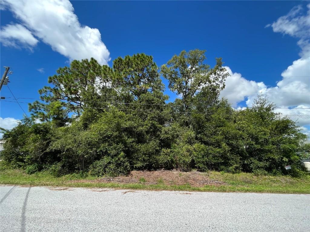 TBD SE 98th Ct., Summerfield, FL 34491