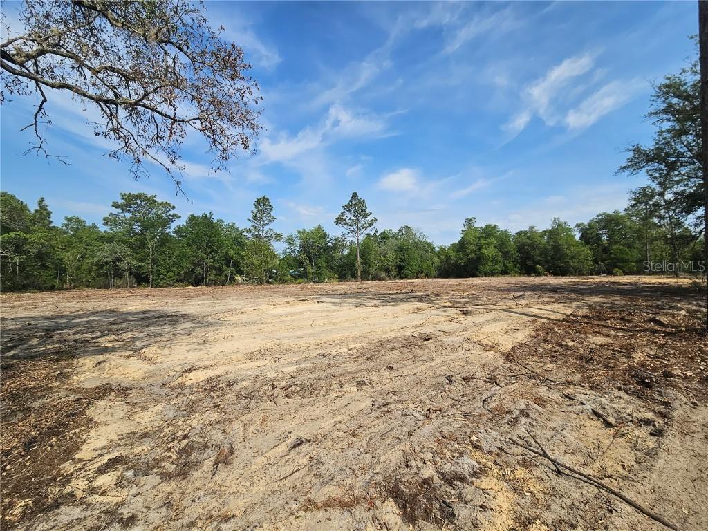 9591 NE 88th Ln., Bronson, FL 32621