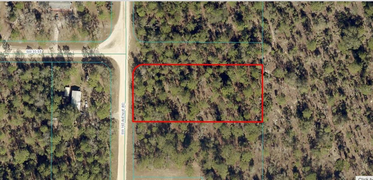 TBD LOT 1 NW 165th Ave Rd., Ocala, FL 34481