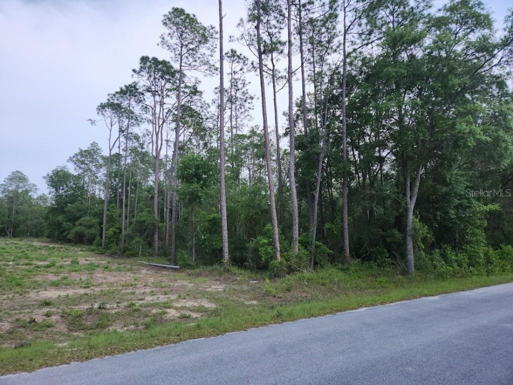 lot 24 SW Hunter Hill Ave., Dunnellon, FL 34431