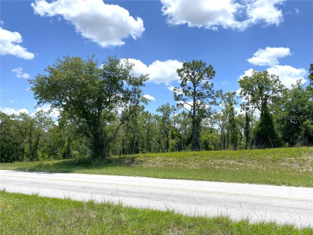 00 NE 20th St., Williston, FL 32696