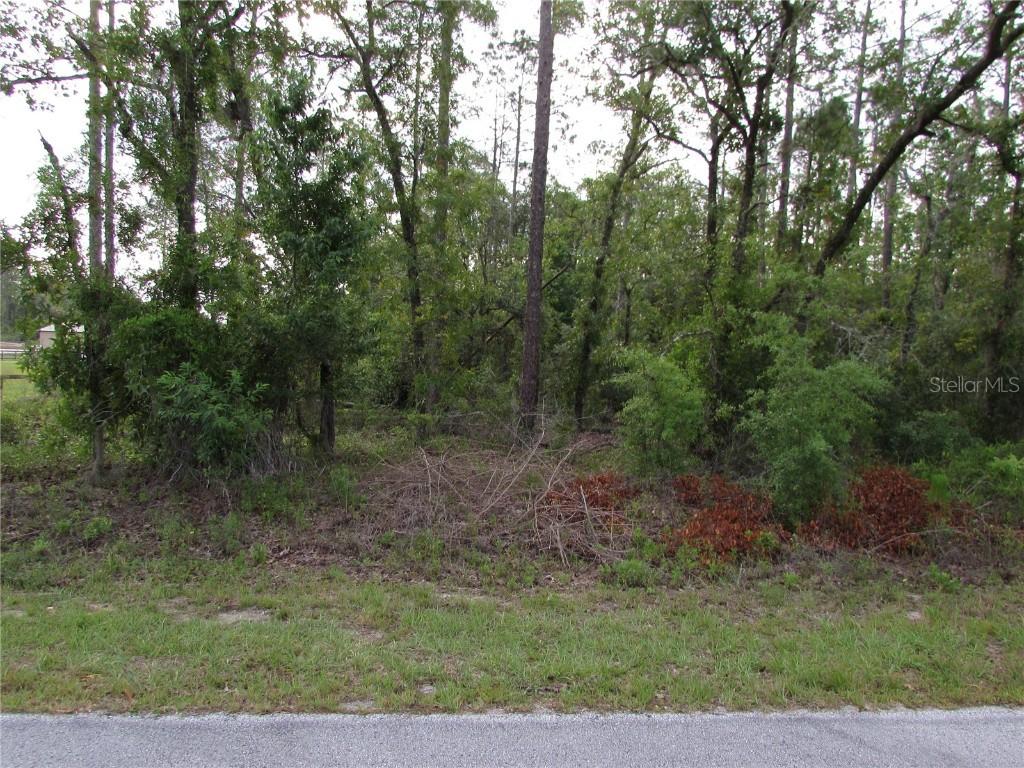 Lot 37 SW Hunter Hill Ave., Dunnellon, FL 34431