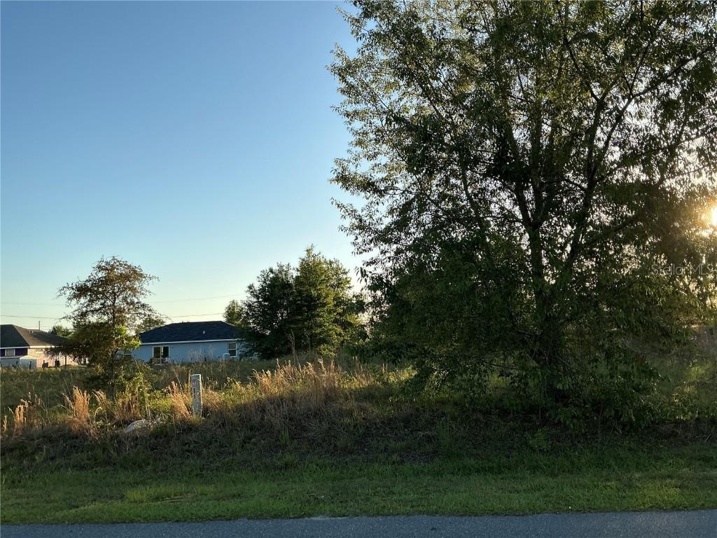 Chestnut Ln., Ocala, FL 34480