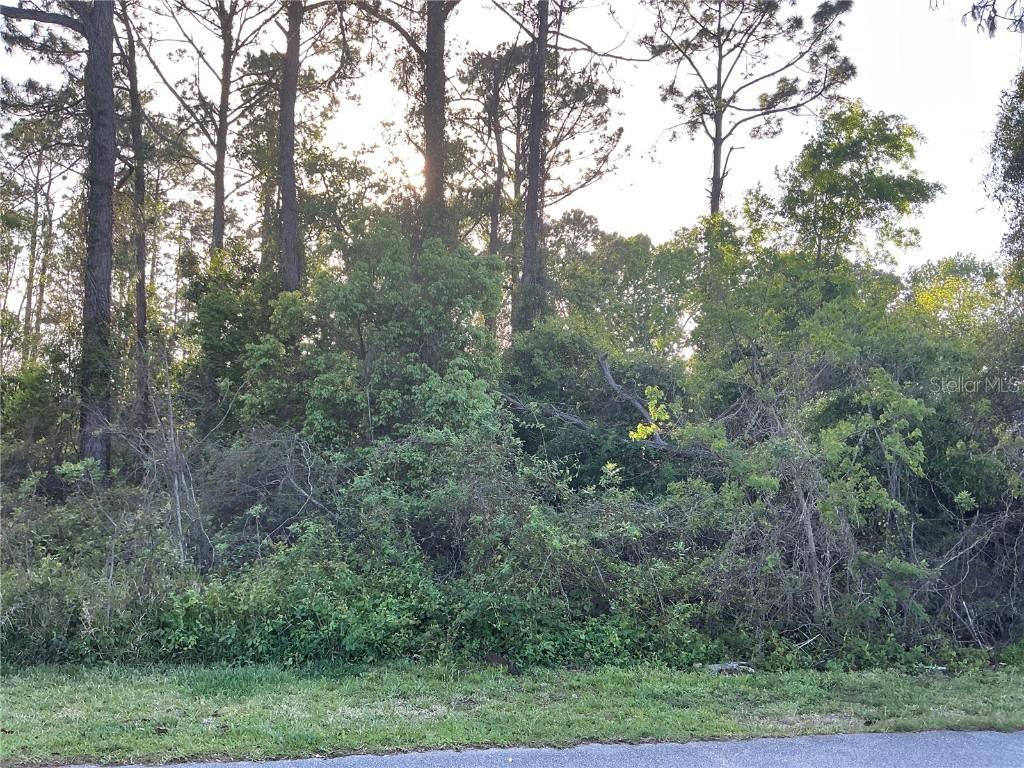 179 Westgrill Dr., Palm Coast, FL 32164