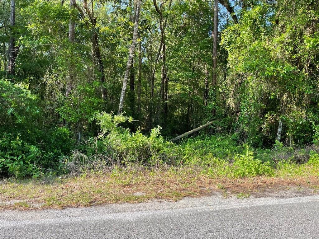LOT 13 SW Nautilus Blvd., Dunnellon, FL 34431