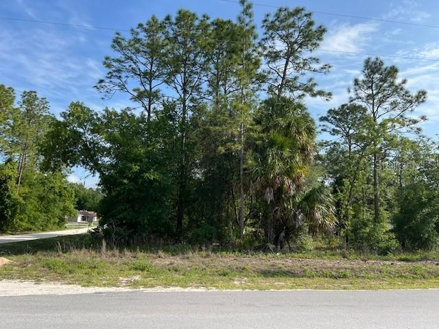 SW 20 Pl., Ocala, FL 34481
