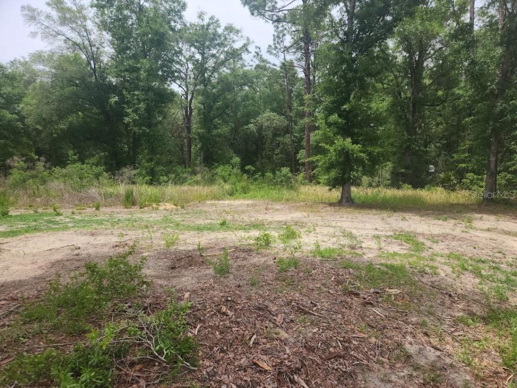 Lot 10 SW 134 Ter., Ocala, FL 34481