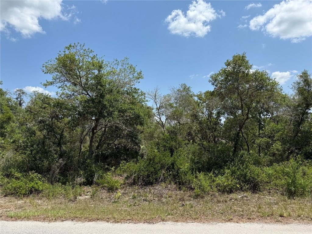 TBD Fisher Loop #36, Ocklawaha, FL 32179
