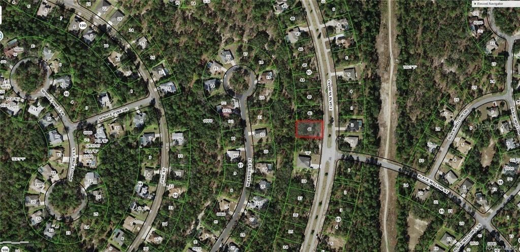 [Address Hidden by Seller], Homosassa, FL 34446