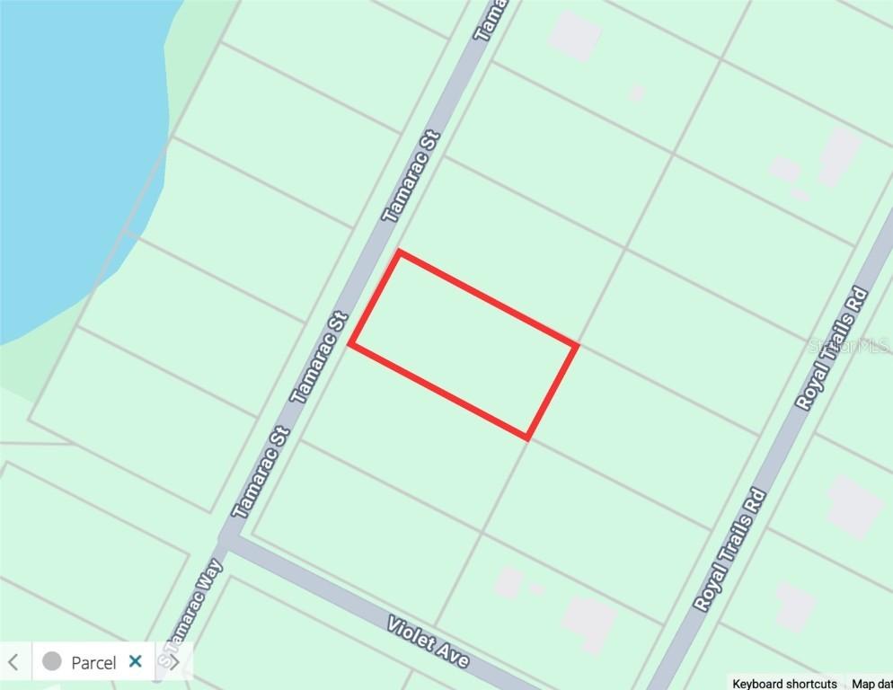 Tamarac St., Eustis, FL 32736