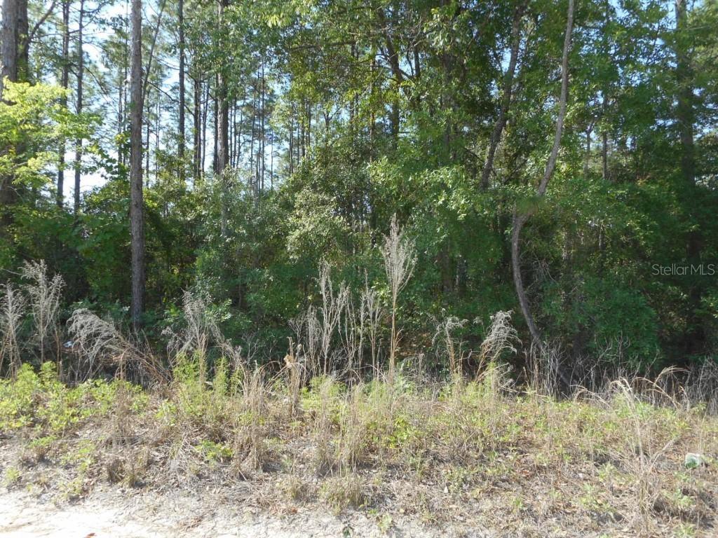 SW 51st Ln., Dunnellon, FL 34432