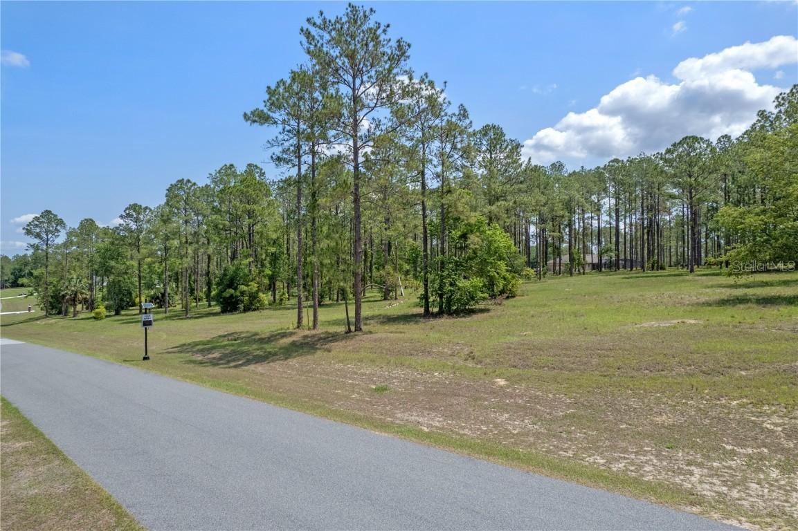 35408 Pinegate Tr., Eustis, FL 32736