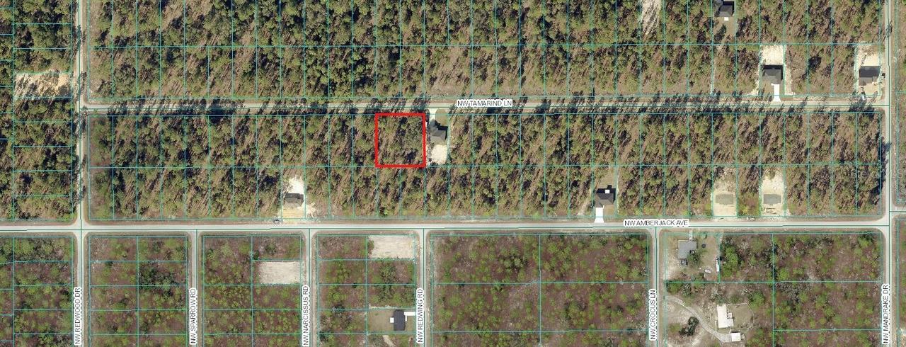 00 NW Tamarind Ln., Dunnellon, FL 34431