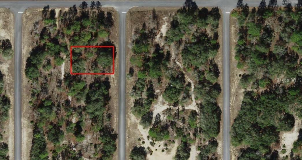 6704 N Founder Ter., Dunnellon, FL 34433