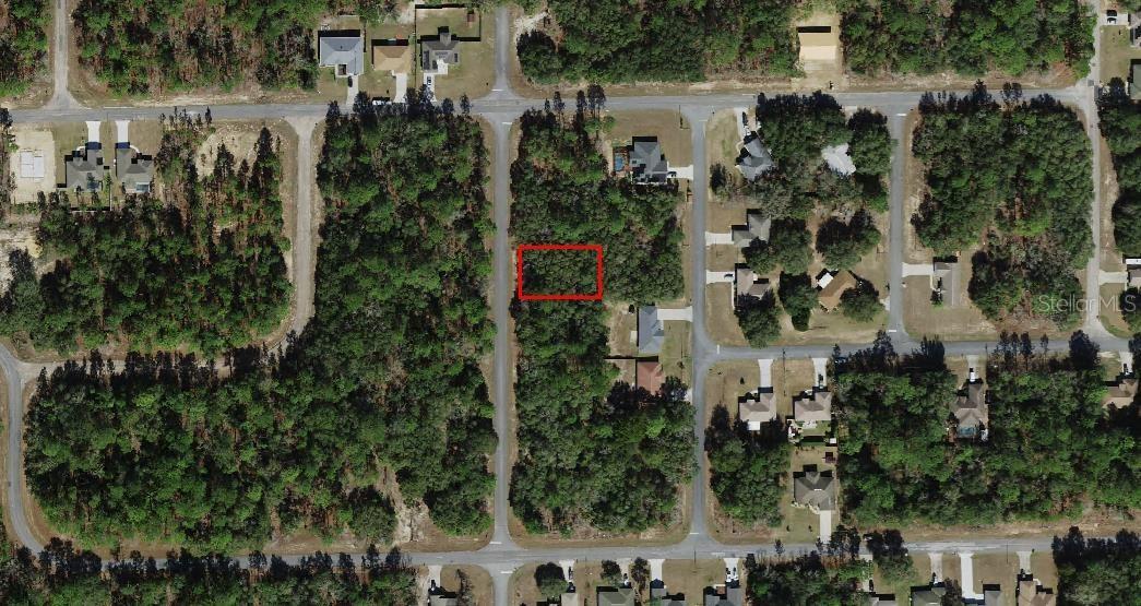 6439 N New Japan Ter., Dunnellon, FL 34434